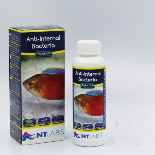 NTLabs Anti-Internal Bacteria